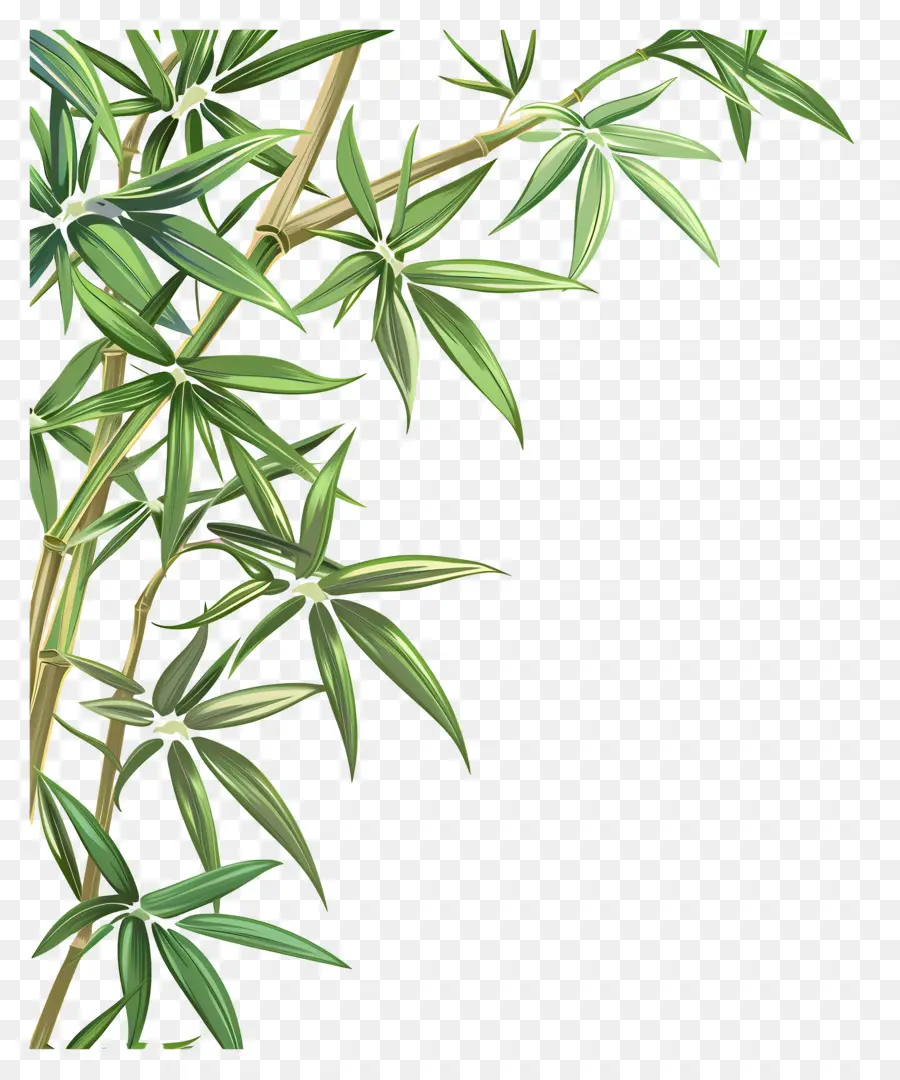 Borda Da Folha De Bambu，Bambu PNG