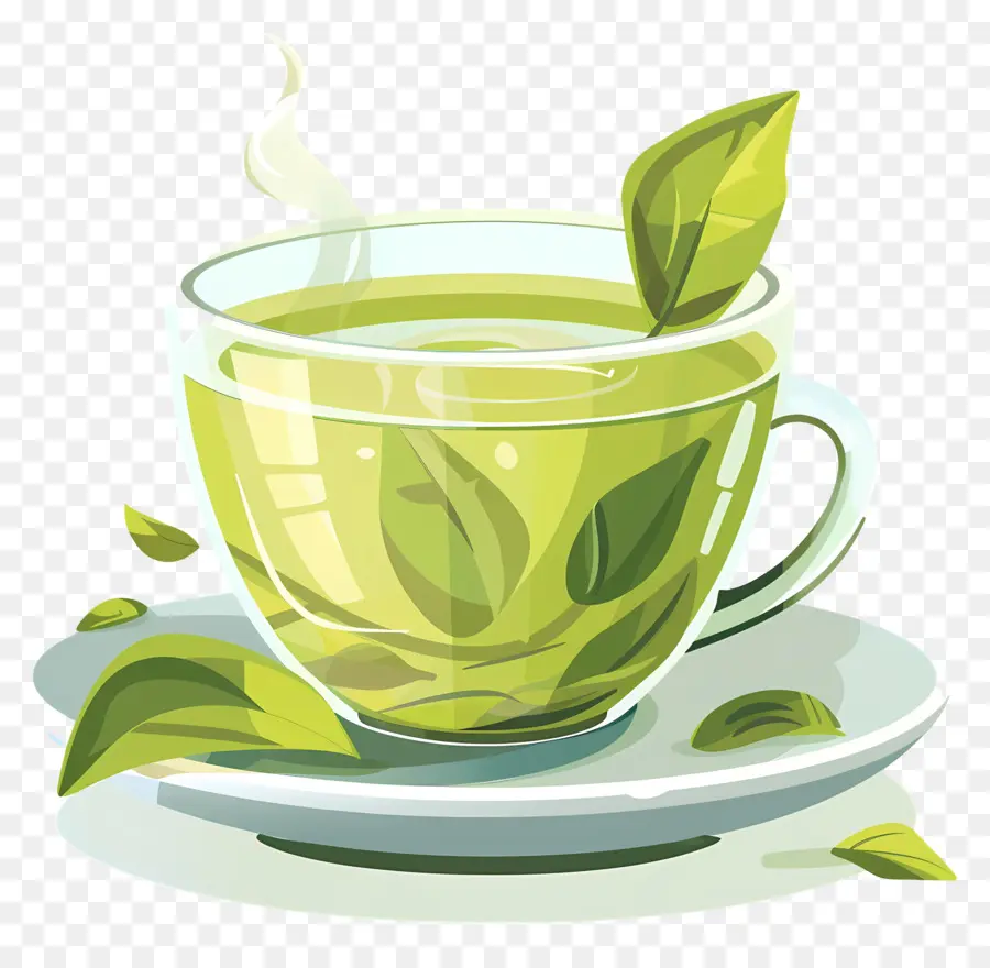 O Chá Verde，Xícara De Chá De PNG