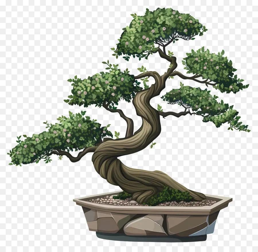 Uma árvore Bonsai，Árvore Em Miniatura PNG