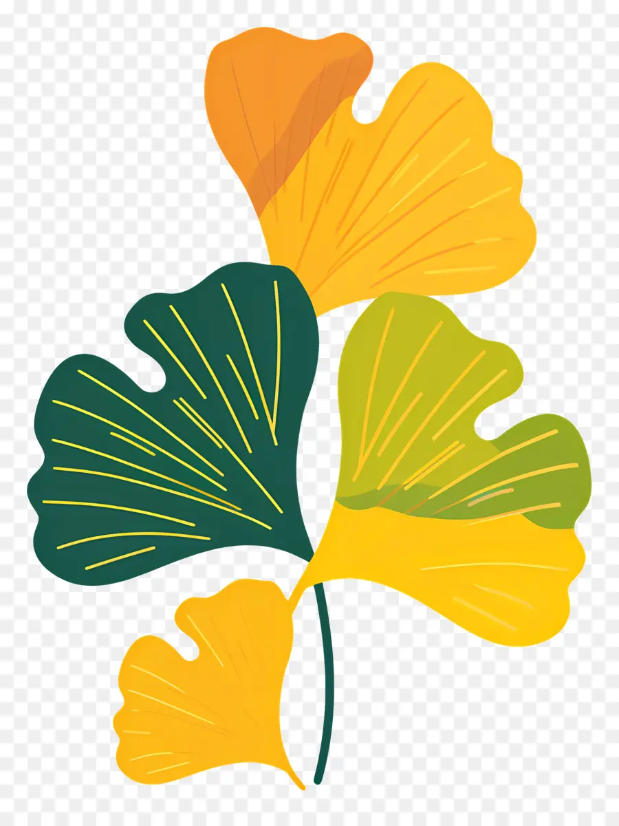 Ginkgo Folha，Folhas De Ginkgo PNG