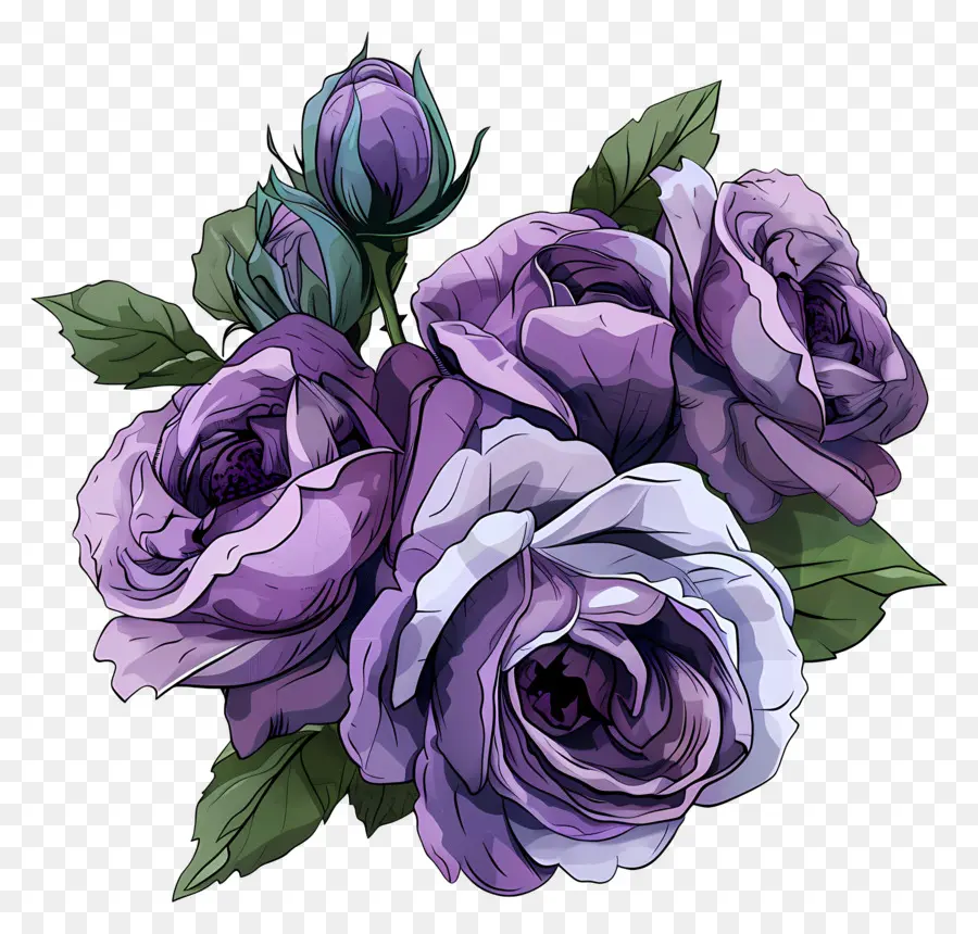 Rose Bouquet，Roxo Rosas PNG