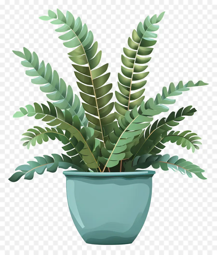 Fern Plant，Azul Pote PNG