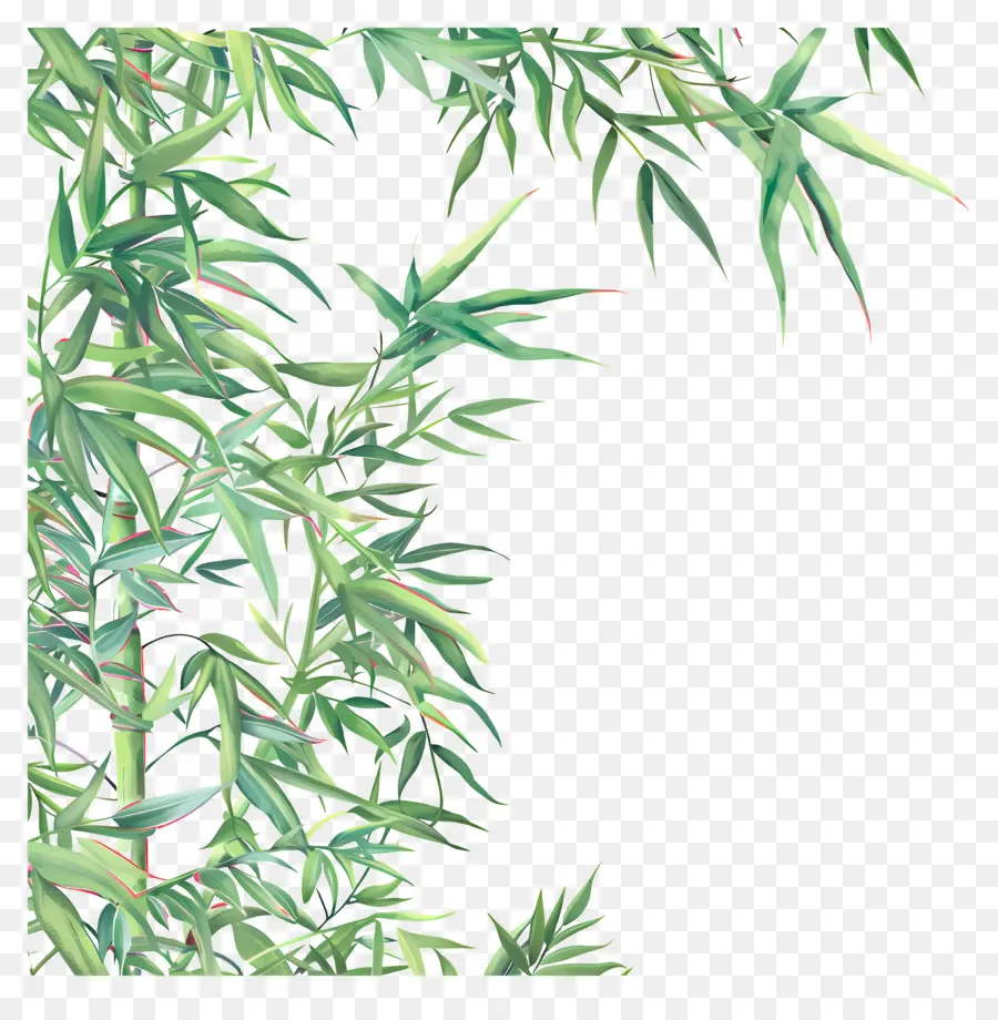 Borda Da Folha De Bambu，Planta De Bambu PNG