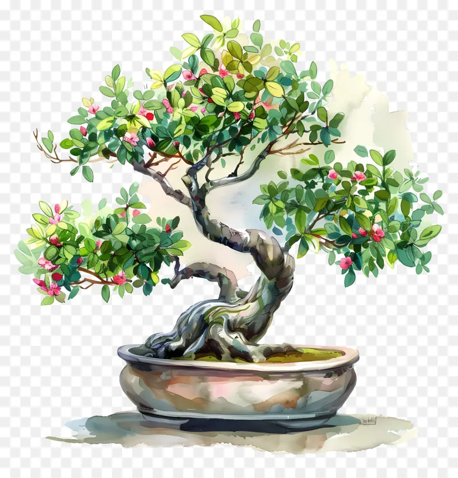 Uma árvore Bonsai，Pequeno Pote PNG
