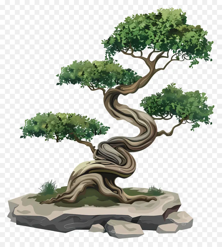 Uma árvore Bonsai，Tronco PNG