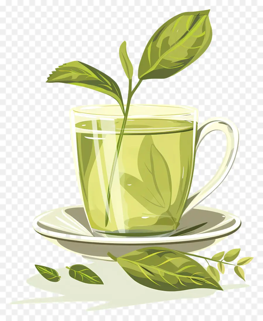 O Chá Verde，Chá PNG
