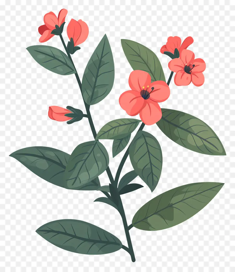 Flores Cor De Rosa，Arbustos PNG