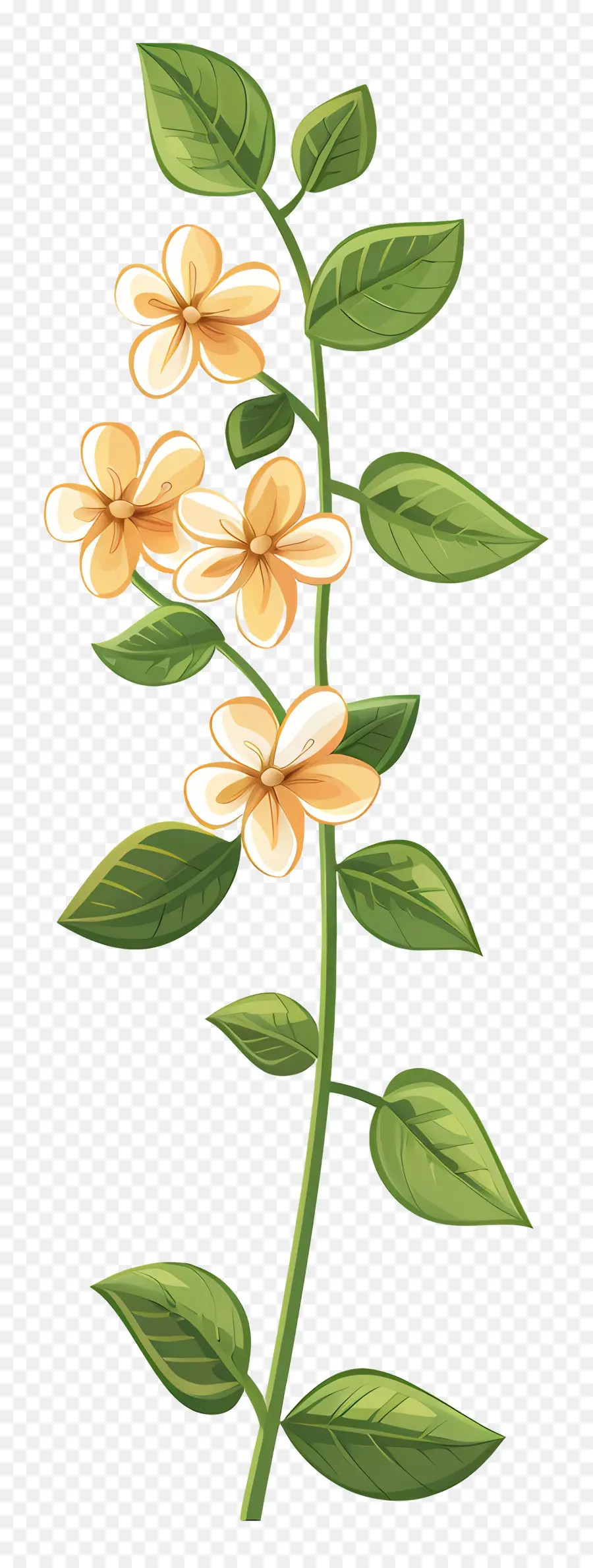 Planta，Flores PNG