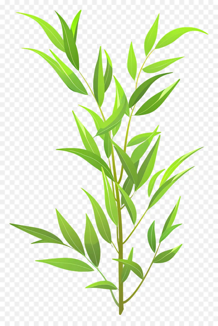 Folha De Salgueiro，árvore De Bambu PNG
