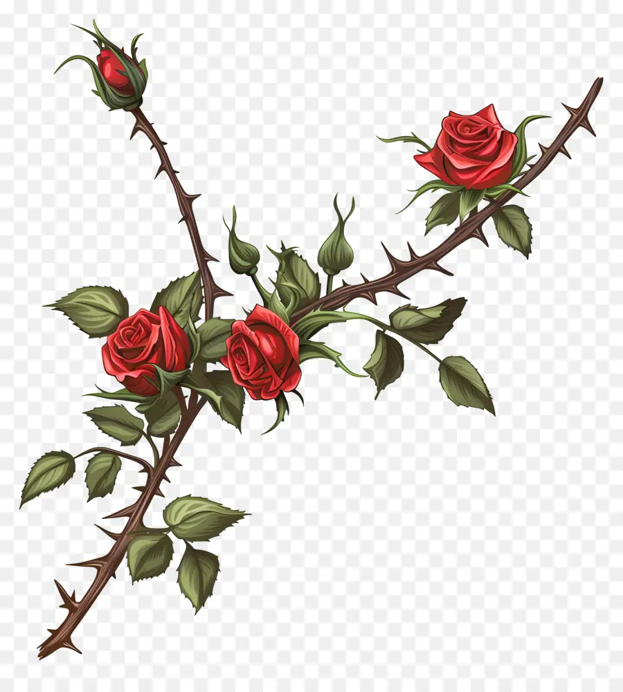 Espinhos Da Roseira，Rosas Vermelhas PNG