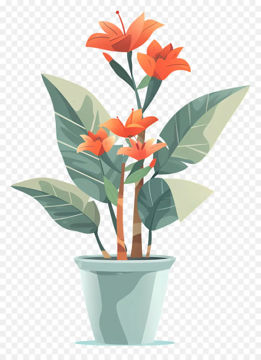 Planta De Vaso，Flores De Laranja PNG