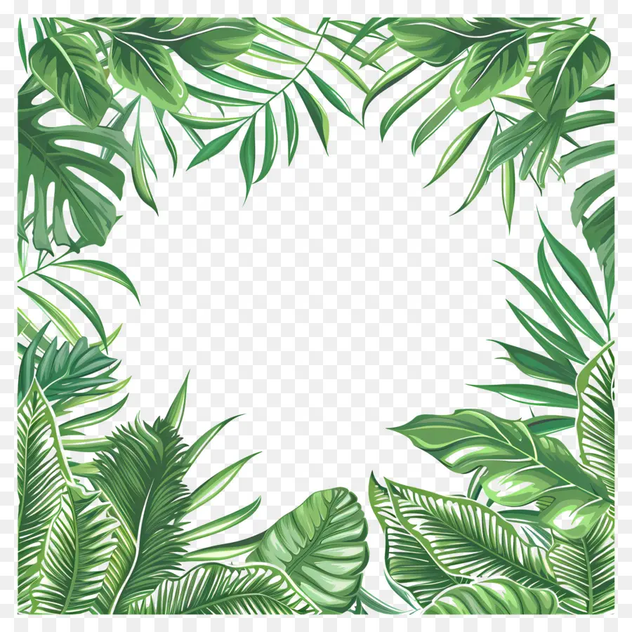 Borda De Folhas Tropicais，Verde De Folhas De Palmeira PNG
