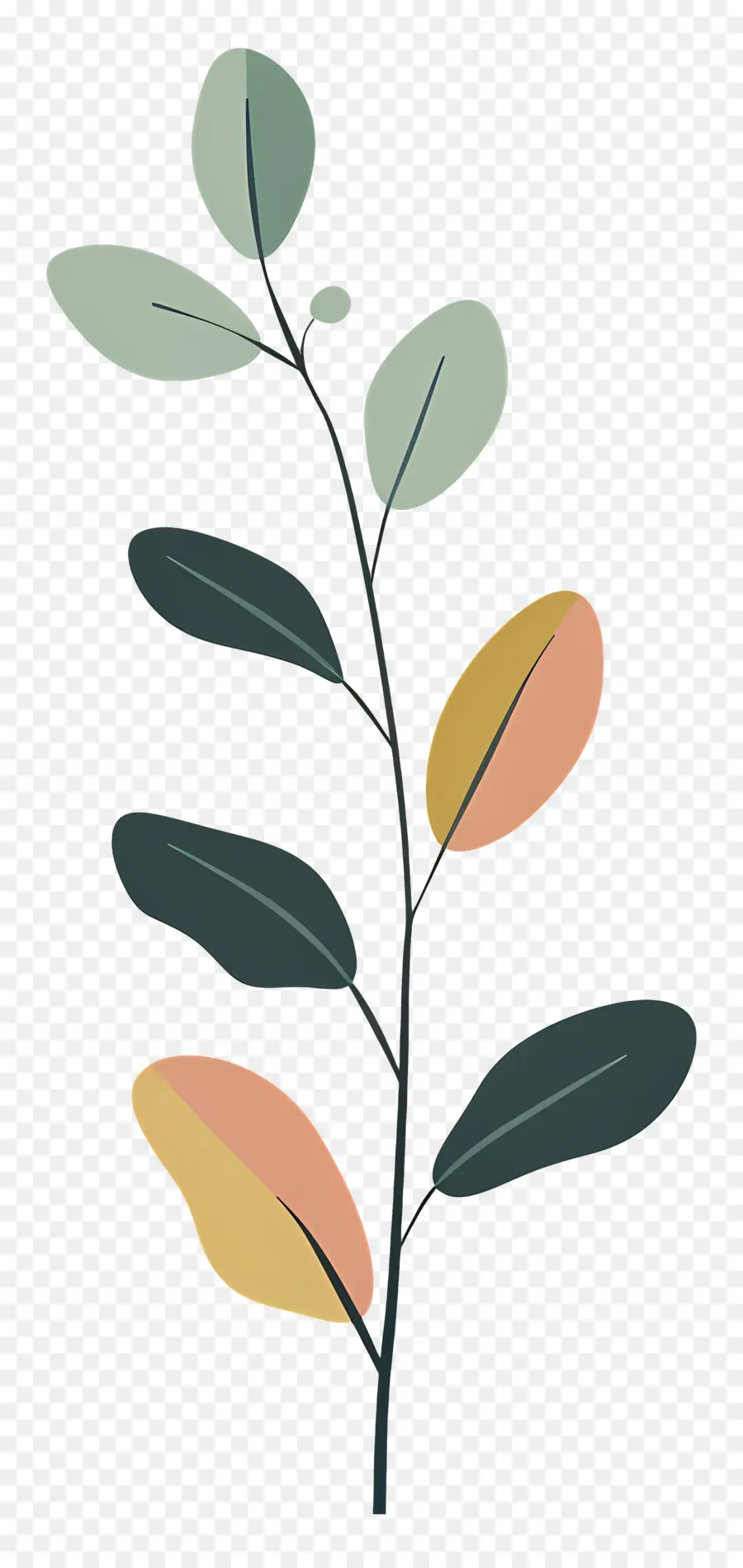 Planta De Haste，Planta PNG