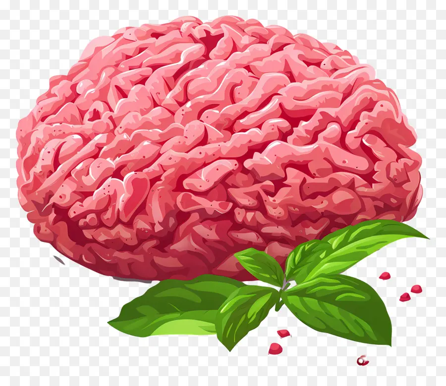 Carne Moída，Cérebro Humano PNG