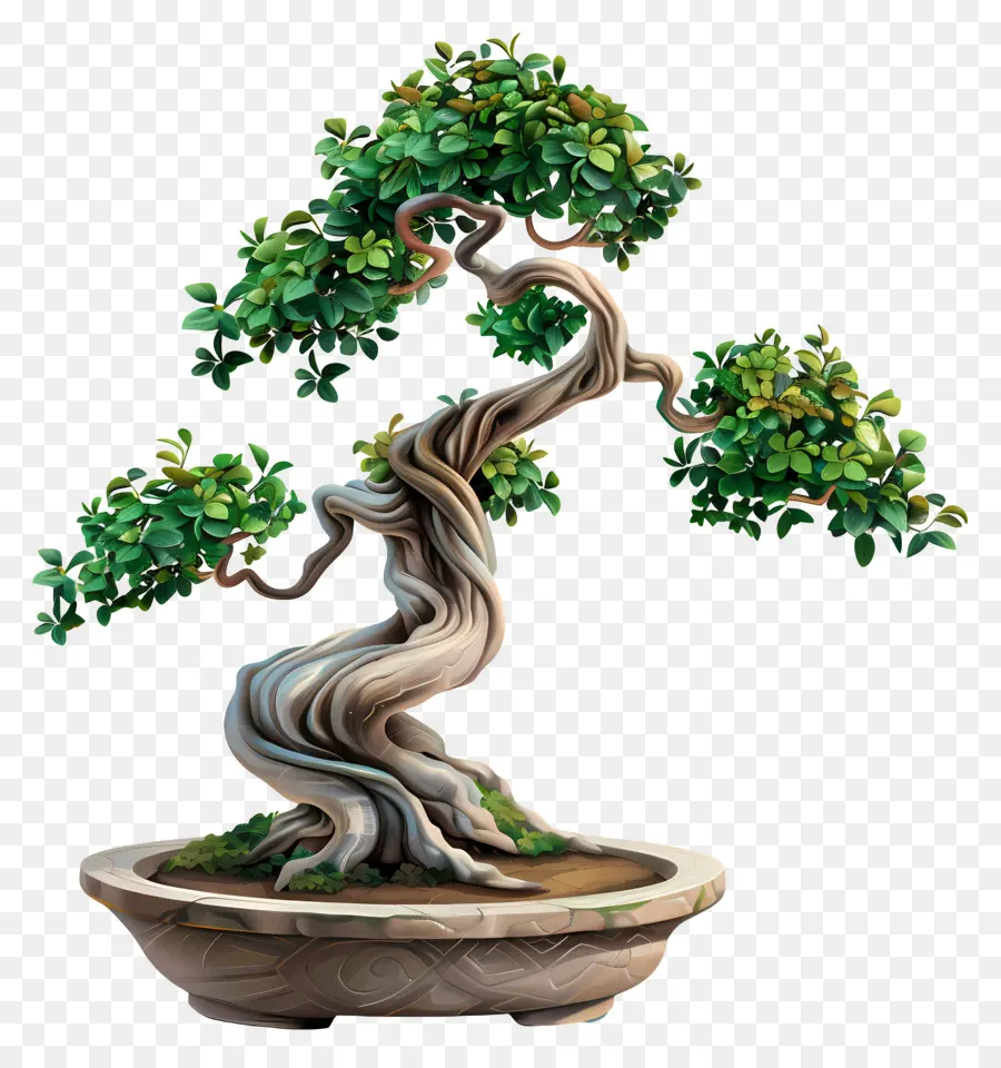 Uma árvore Bonsai，Planta Em Miniatura PNG