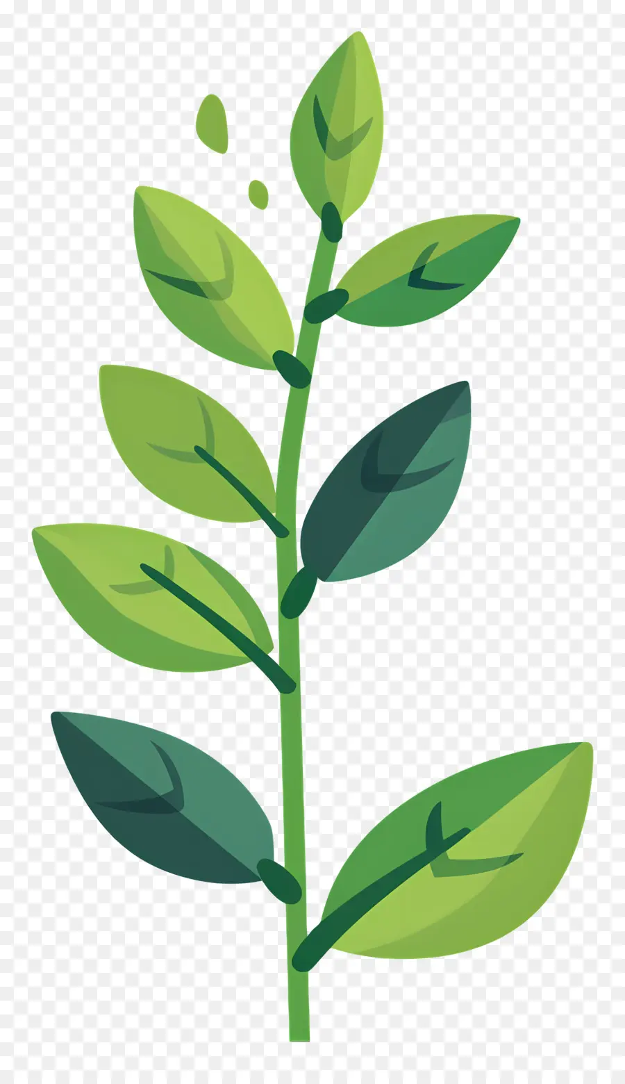 Caule Da Planta，Planta Verde PNG