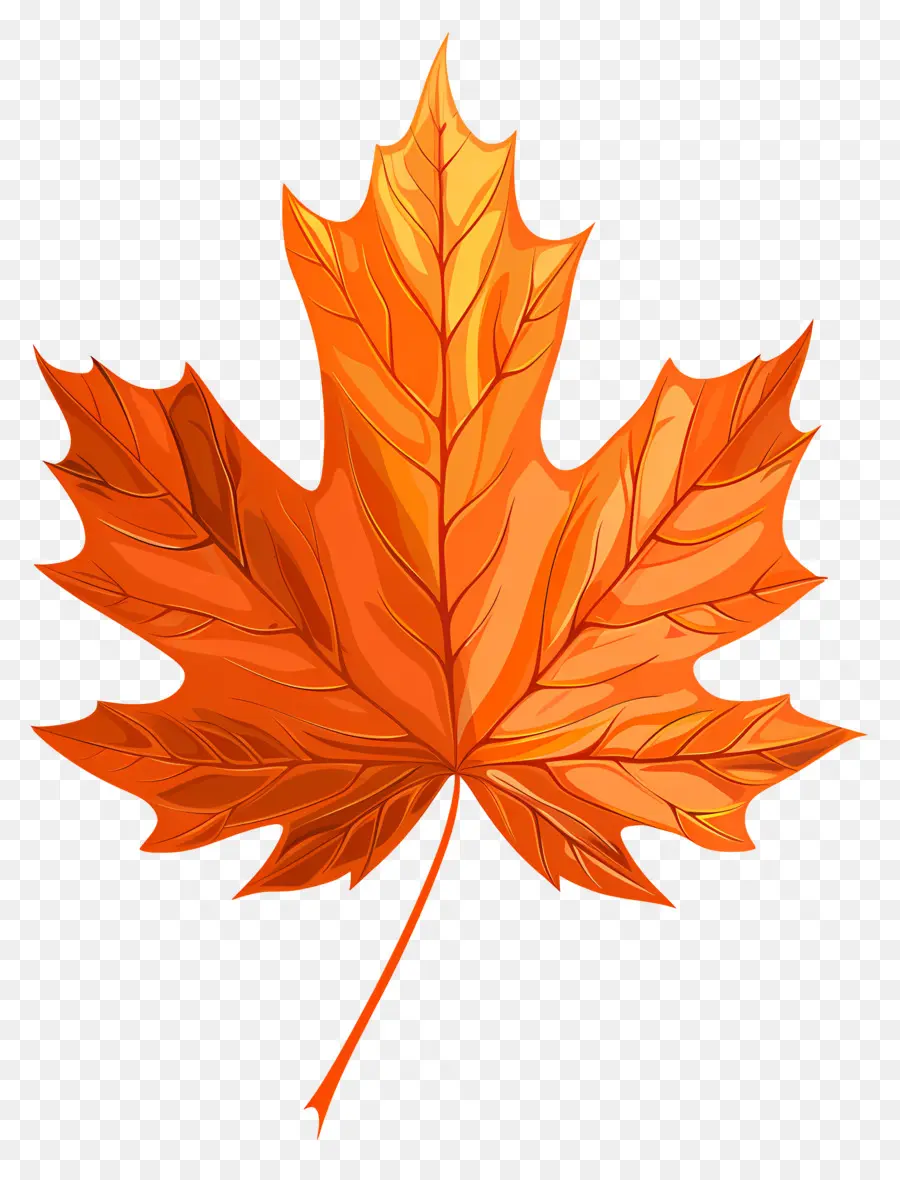 Maple Leaf，Laranja Folha PNG