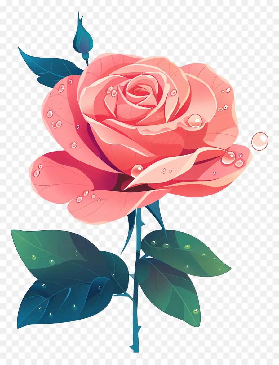 Rosa Com Gotas De Orvalho，Rosa PNG