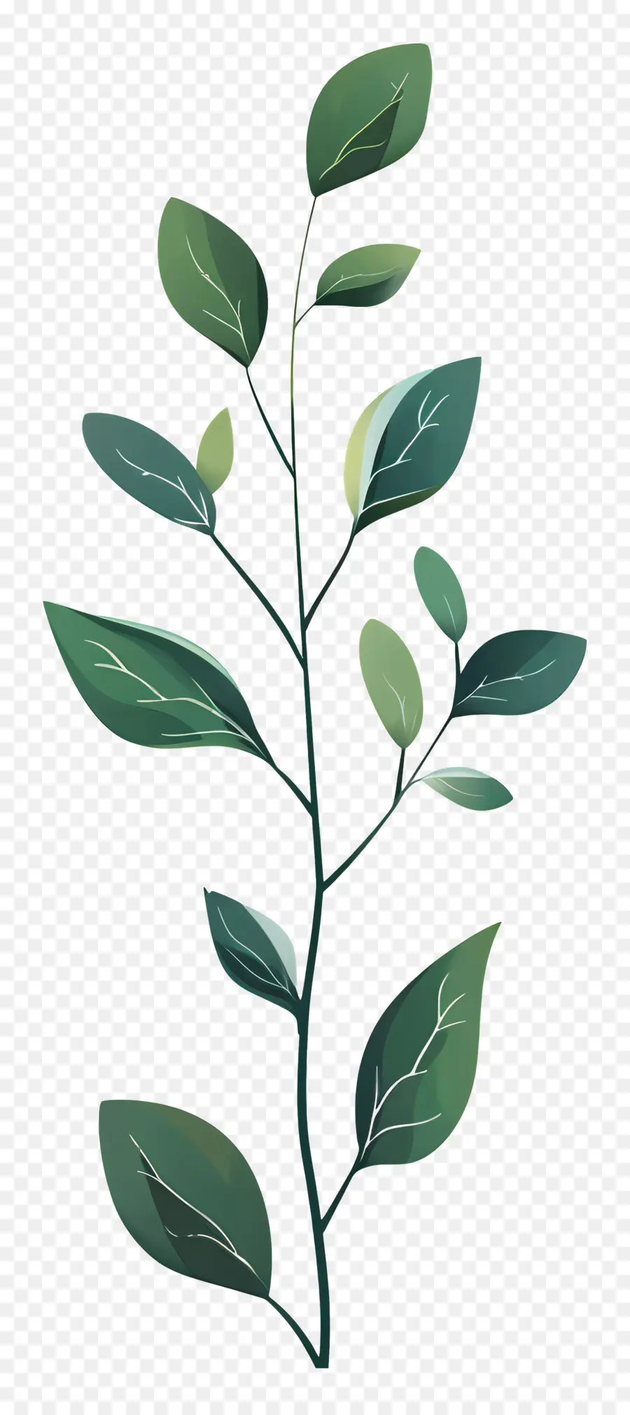 Planta De Haste，Folhas Verdes PNG