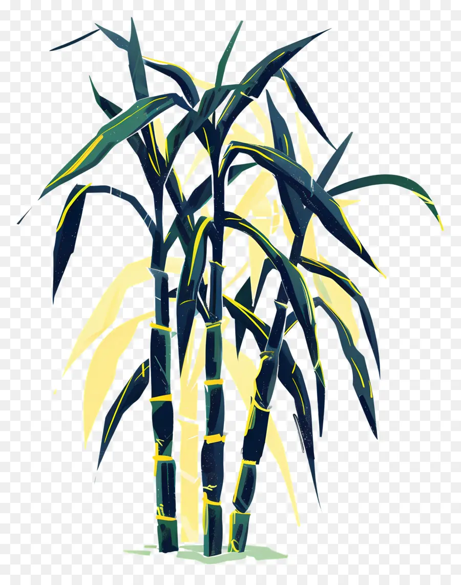 Sugarcane，Palmeira PNG