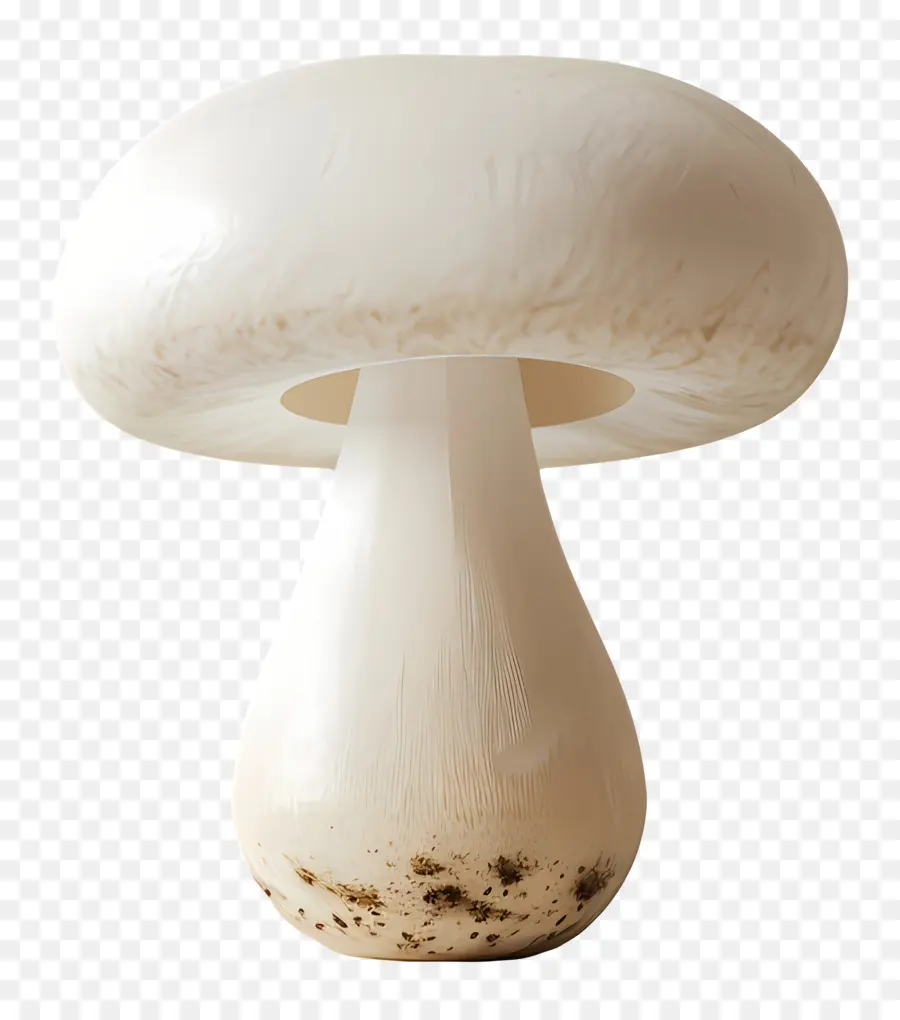 Cogumelo，Cogumelo De Cerâmica PNG