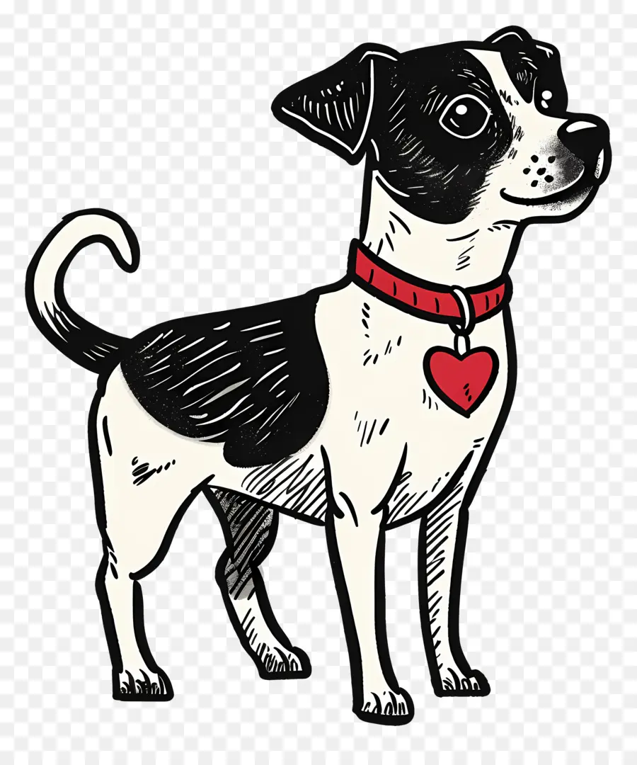 Cão Dos Desenhos Animados，Jack Russell Terrier PNG