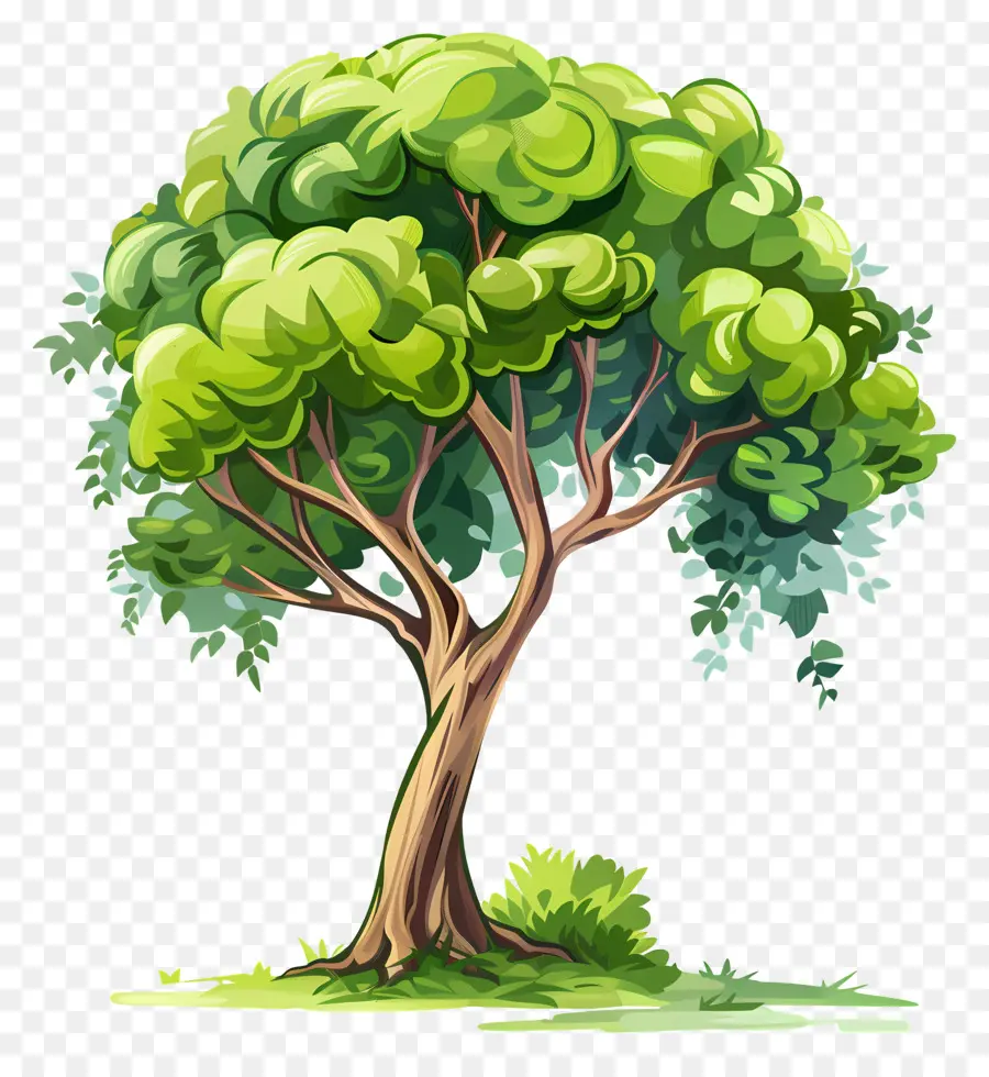 árvore，Campo Verde PNG