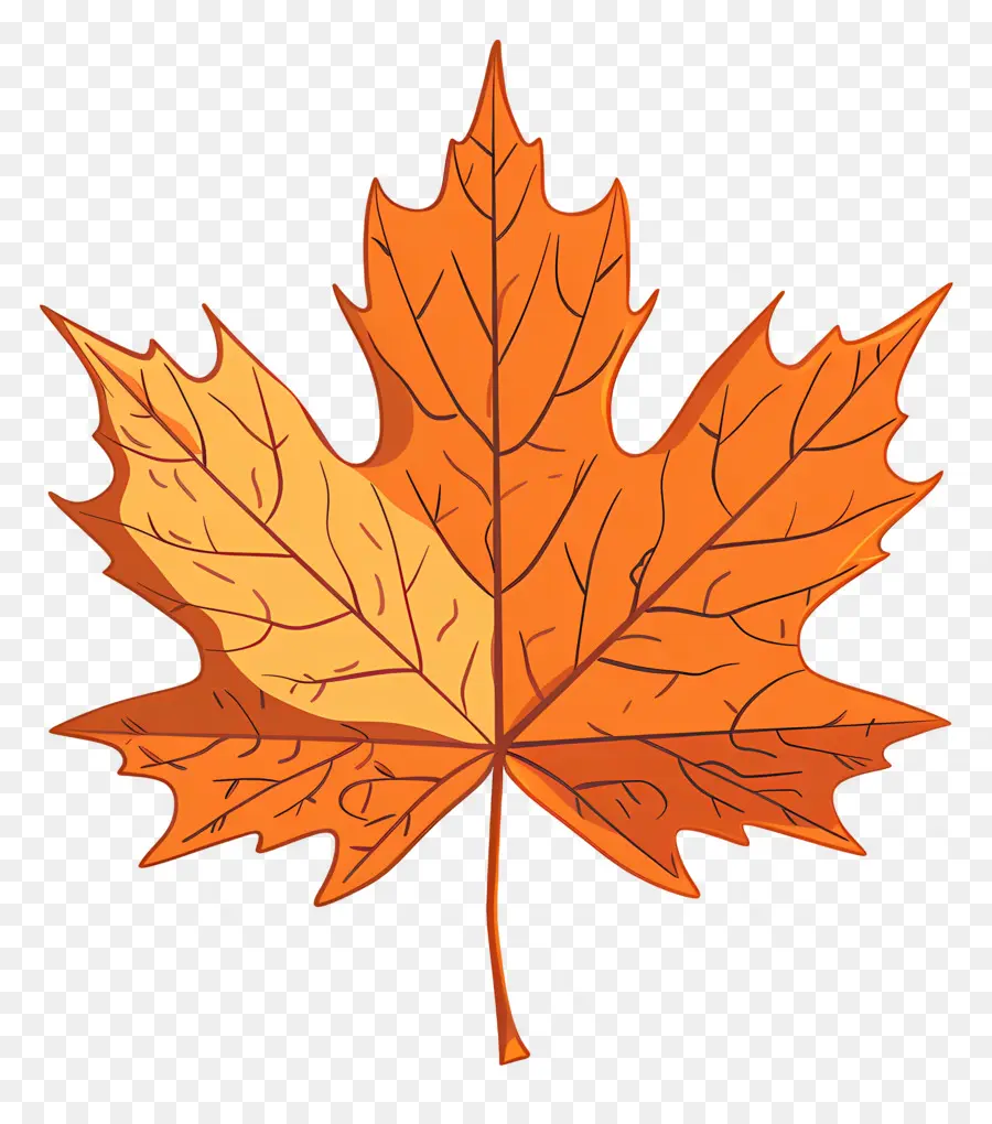Maple Leaf，Laranja Maple Leaf PNG