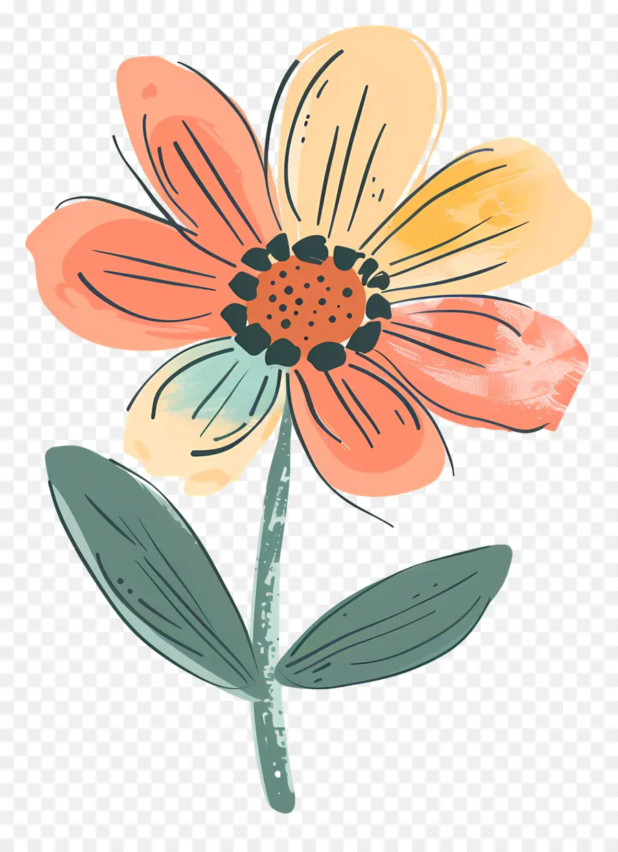 Cartoon Flor，Flor Esboço PNG