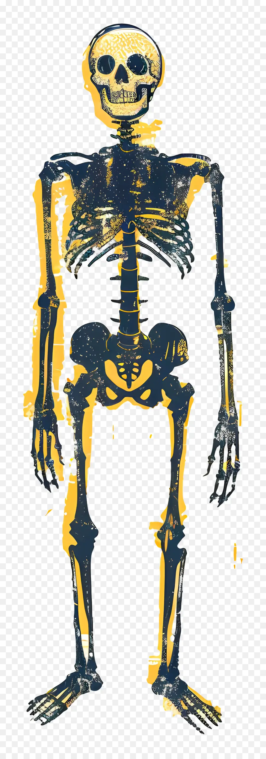 Esqueleto，Ossos PNG