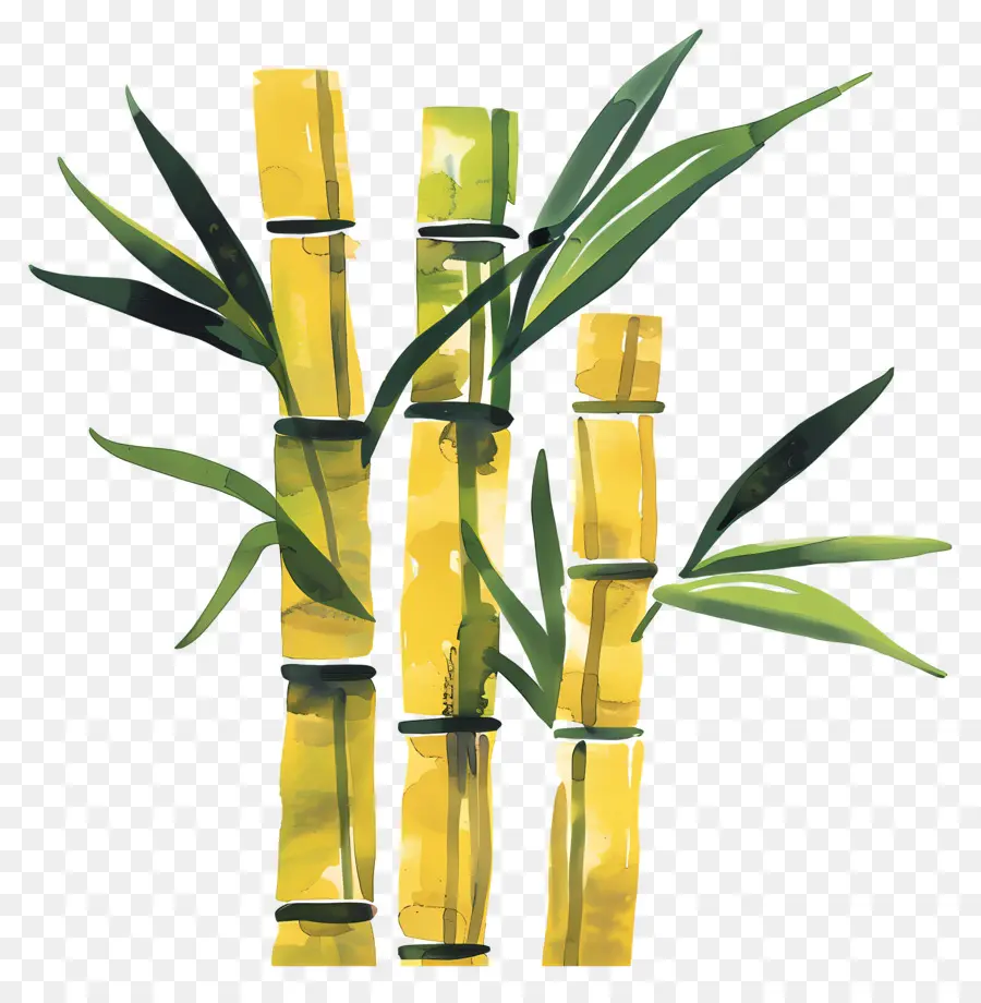 Sugarcane，Bambu PNG