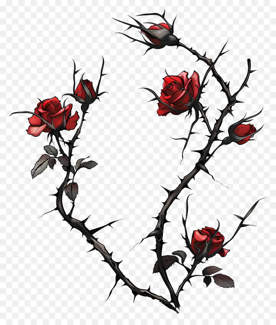 Espinhos Da Roseira，Rosas Vermelhas PNG