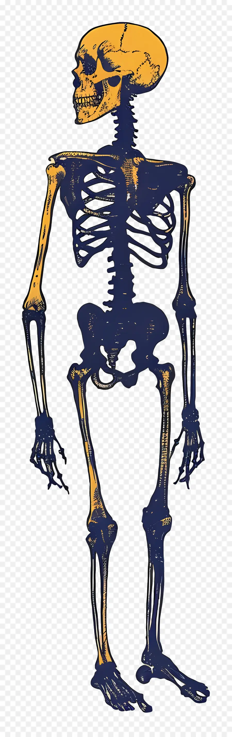 Esqueleto，A Scythe PNG