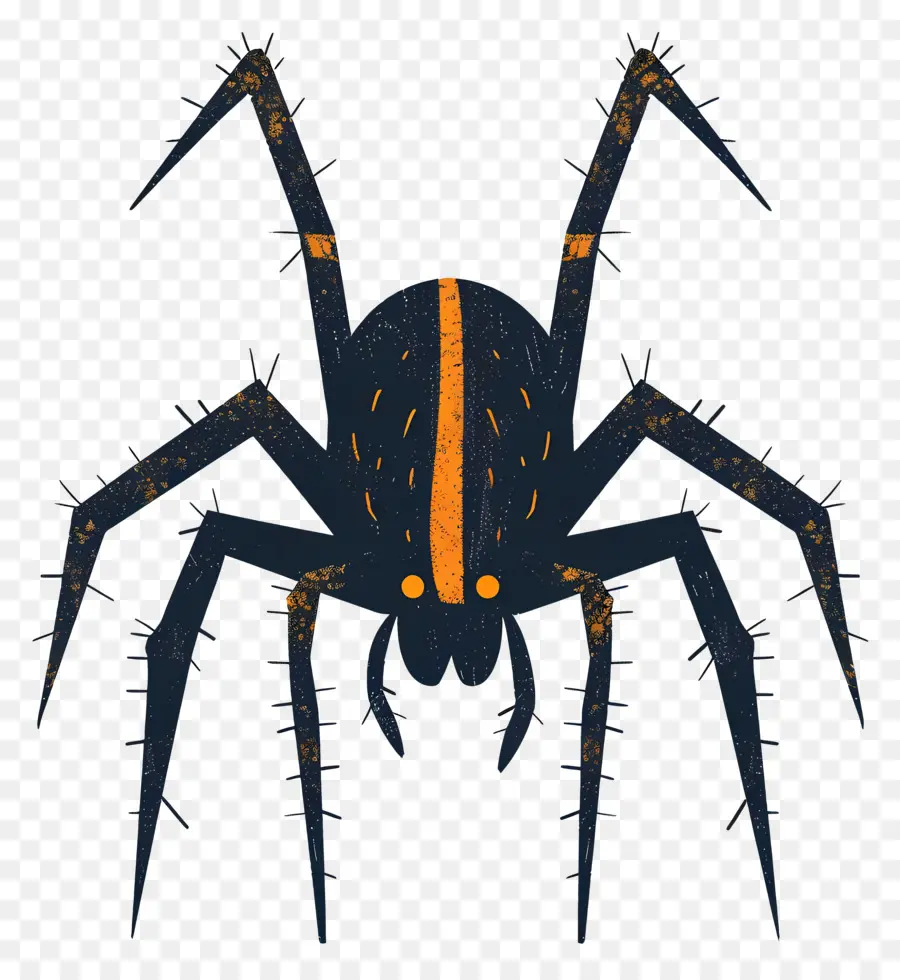 Aranha，Black Spider PNG