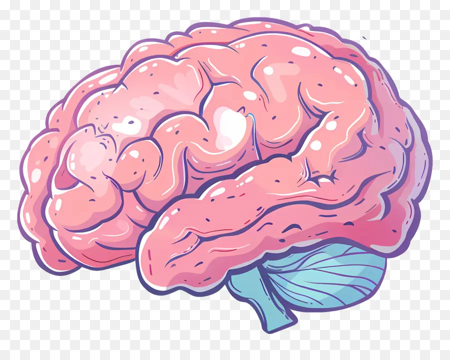 Cartoon Cérebro，Cérebro Humano PNG