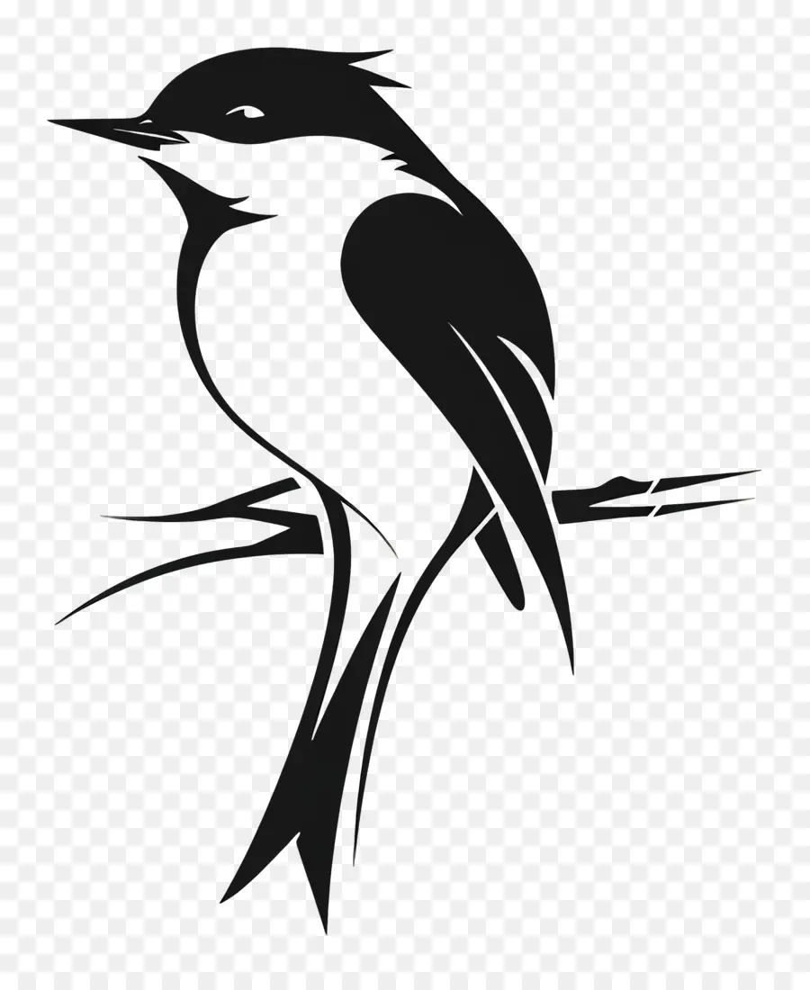 Design Simples，Aves PNG