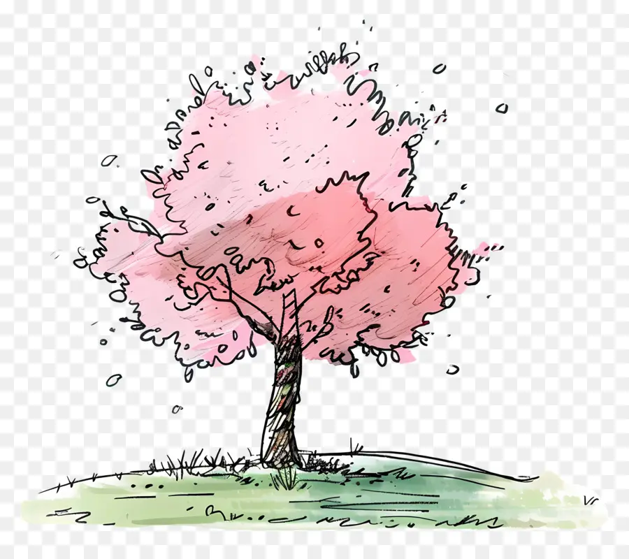 Cartoon árvore，árvore De Cereja PNG