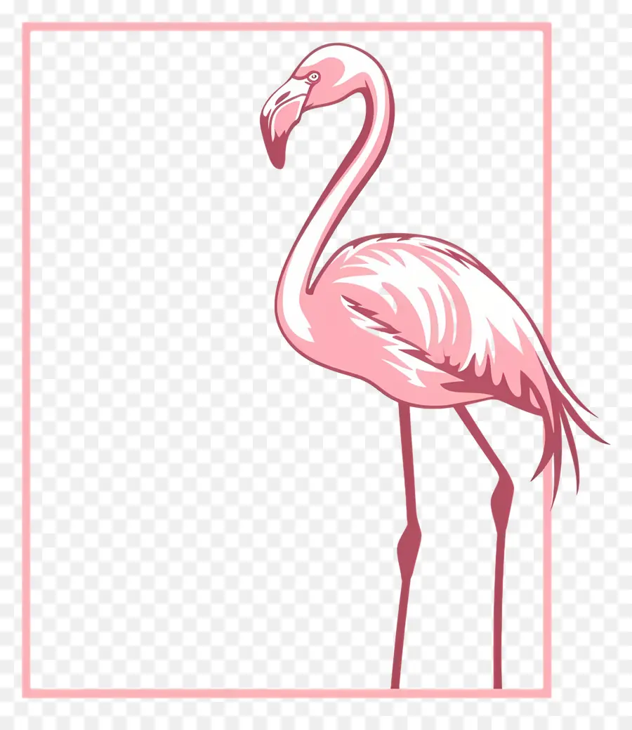Design Simples，Flamingo PNG