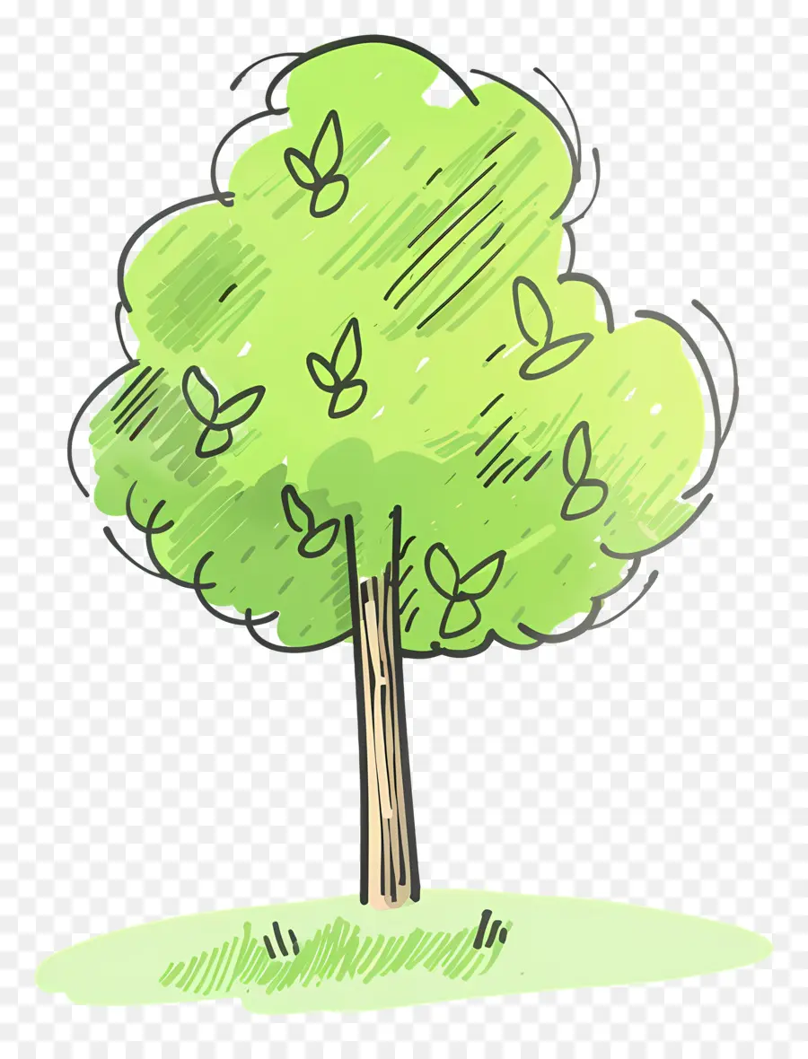Cartoon árvore，árvore Verde PNG