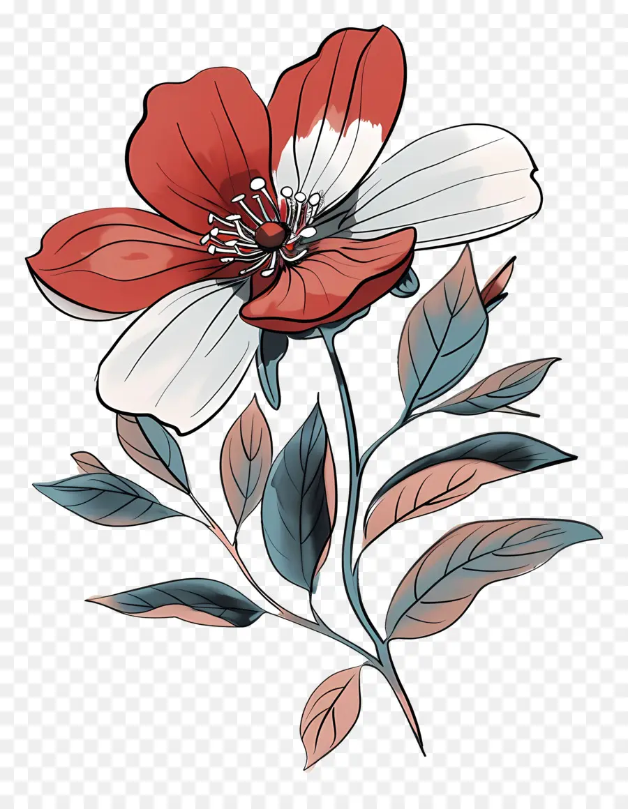 Cartoon Flor，Flor Vermelha E Branca PNG