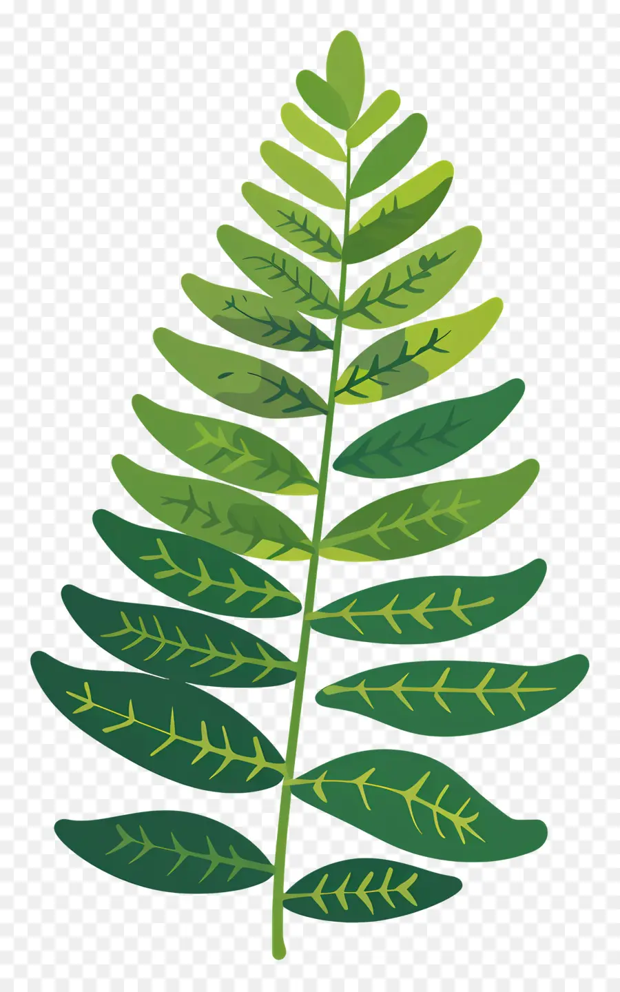 Folha De Samambaia，Planta Verde PNG