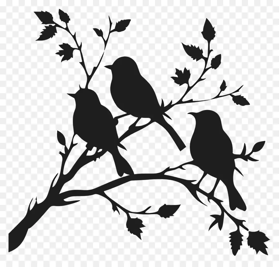 Pássaros Sentados Em Um Galho，Aves PNG