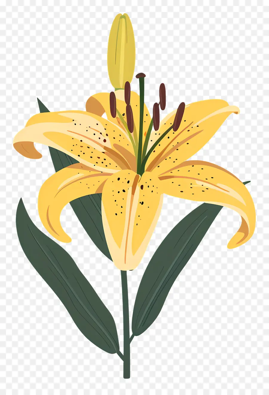 Flor Do Lírio，Pétalas Amarelas PNG