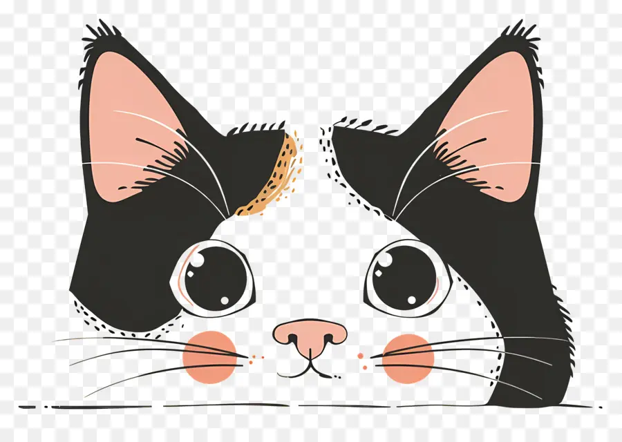 Gato Espreitador，Gato Preto PNG