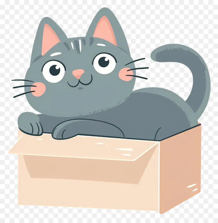 Gato Na Caixa，Gray Cat PNG