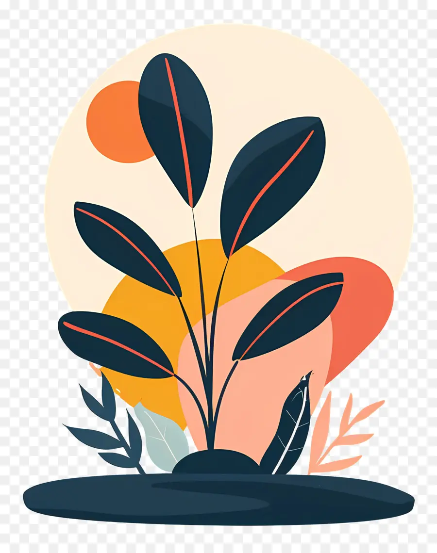 Planta Silhueta，Planta De Ilustração PNG