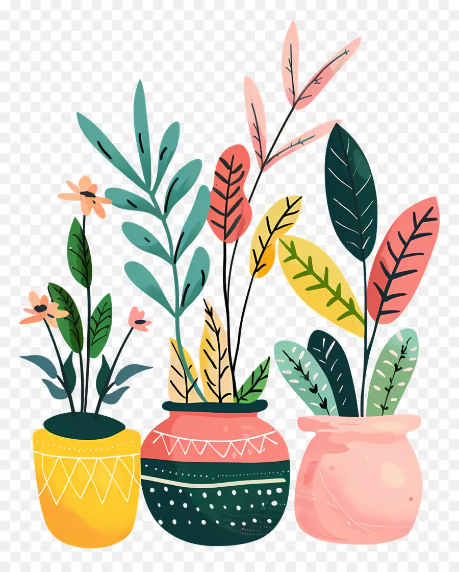 Plantas，Vasos De Plantas PNG
