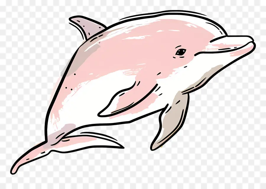 Bonito Dolphin，Boto Cor De Rosa PNG