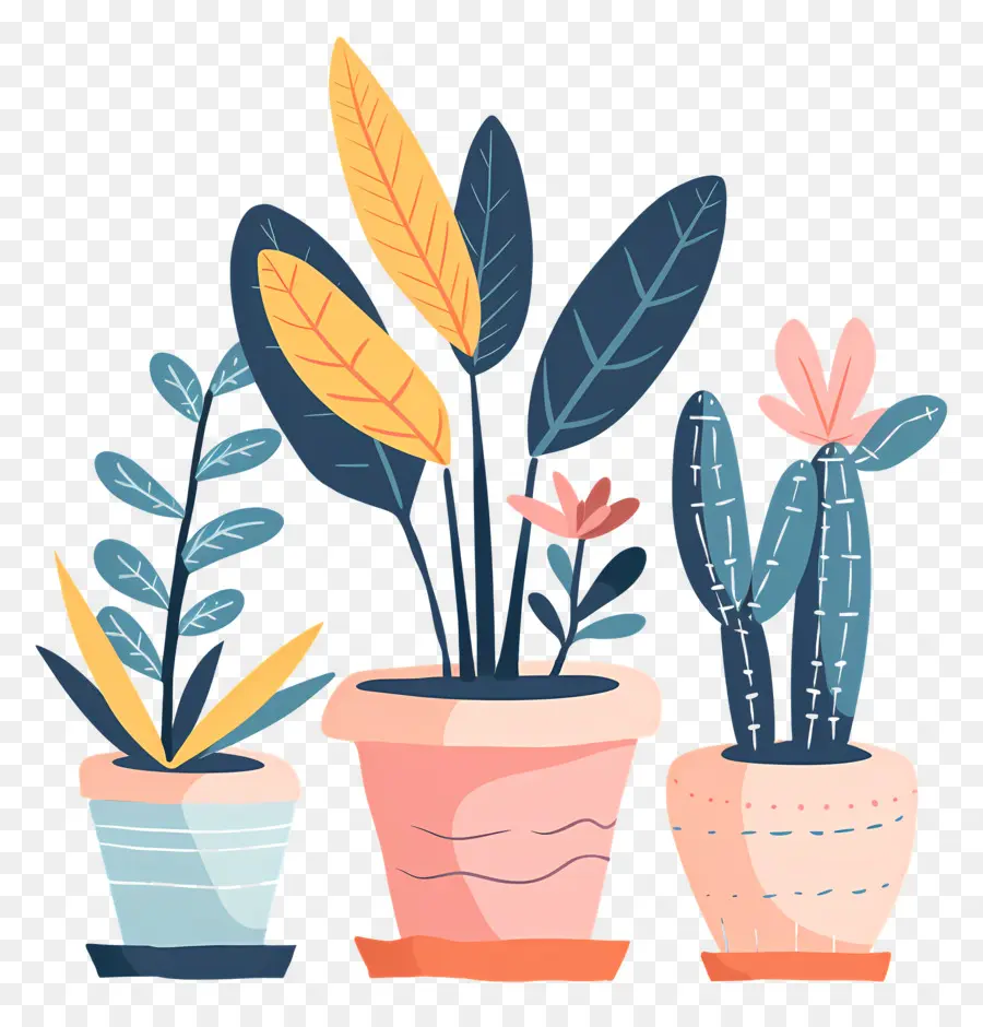 Plantas，Vasos De Plantas PNG