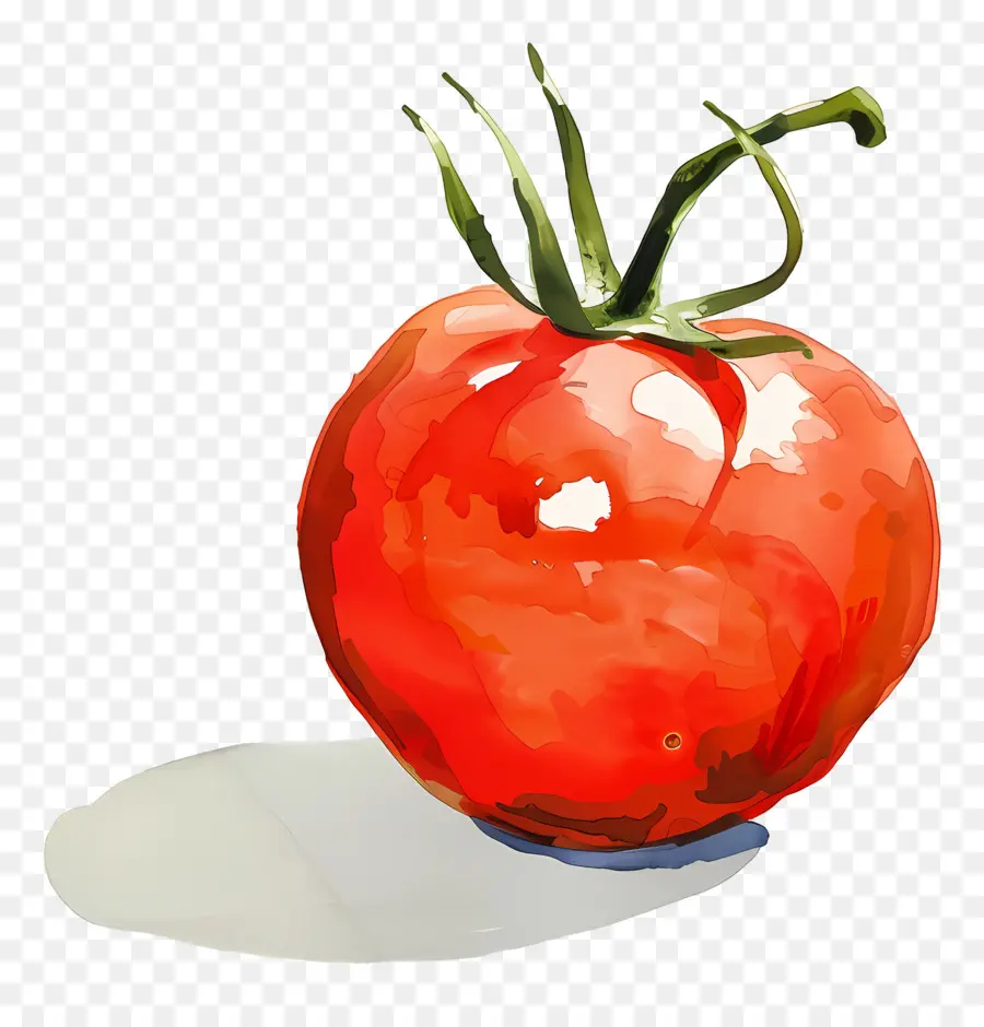 Tomate，Vermelho PNG